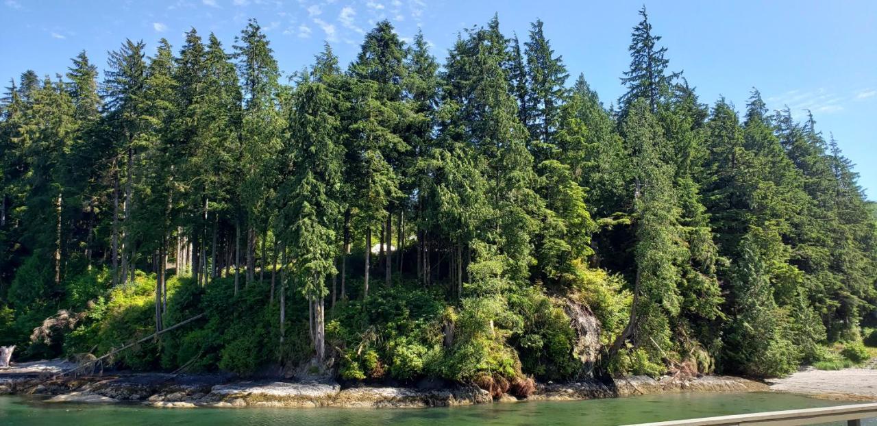 A Shack In The Woods Villa Port Renfrew Exterior foto