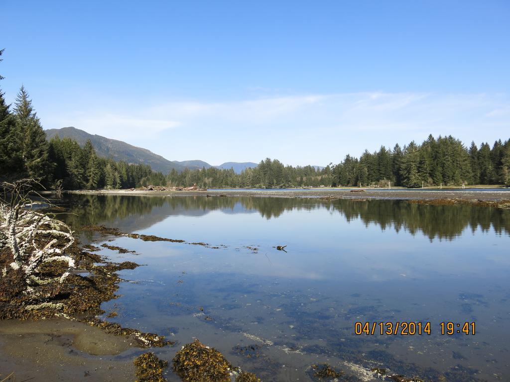 A Shack In The Woods Villa Port Renfrew Cameră foto