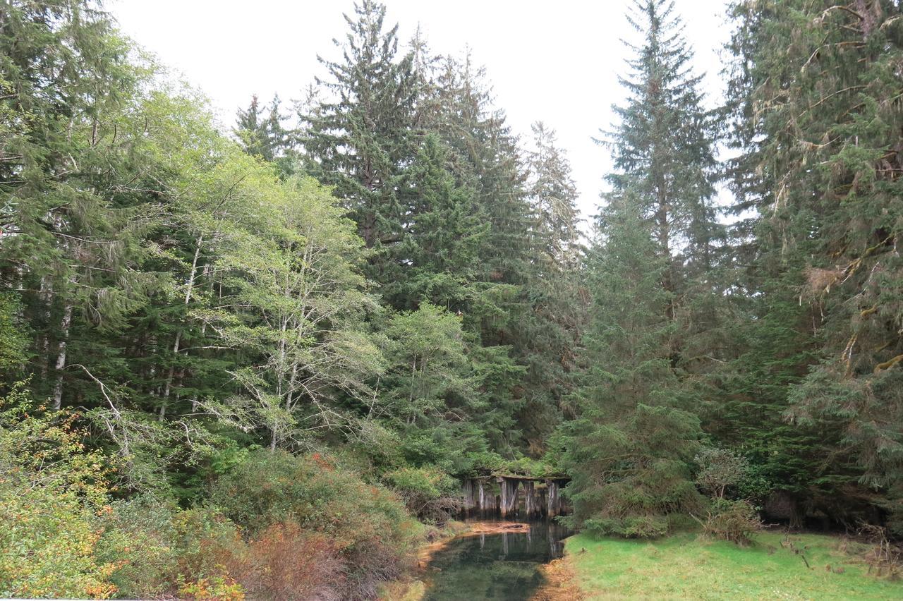 A Shack In The Woods Villa Port Renfrew Exterior foto