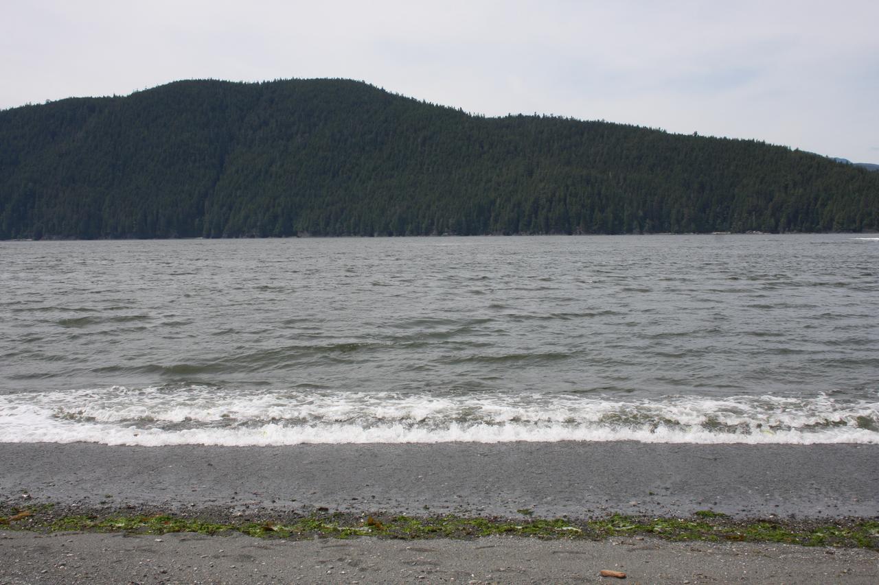 A Shack In The Woods Villa Port Renfrew Exterior foto